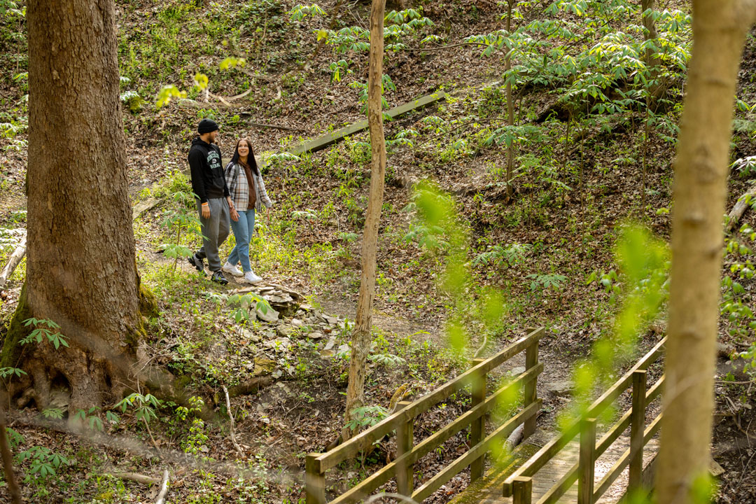 students walking on a hiking trail