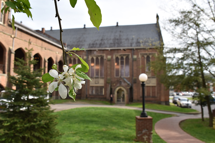 Close-up of white flower with Commencement Hall in background